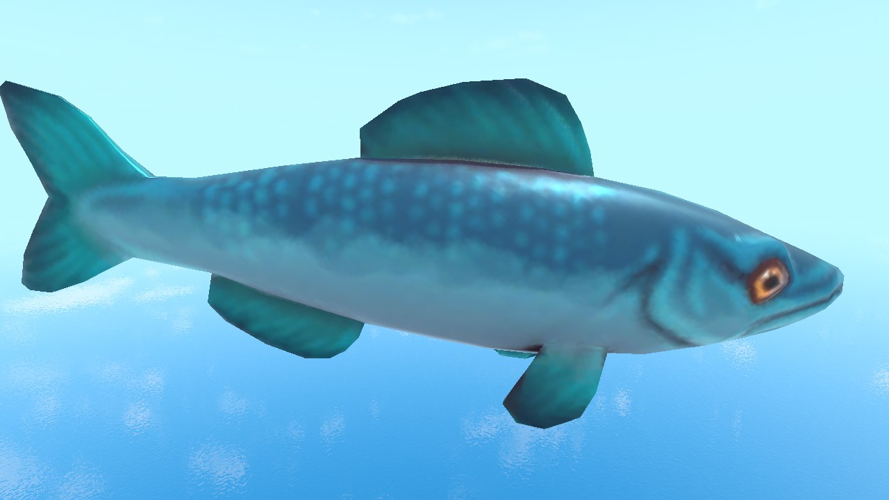 Animal Adventures: Big Whale 🐳